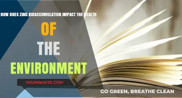 Zinc Bioaccumulation: Environmental Health Risks and Ecological Impacts Explained