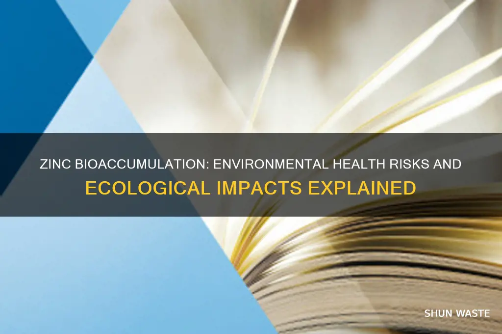 how does zinc bioaccumulation impact the health of the environment