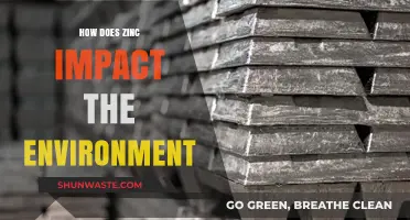 Zinc's Environmental Impact: Benefits, Risks, and Sustainable Practices Explored