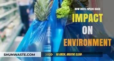 Ziploc Bags' Environmental Impact: Sustainability Concerns and Eco-Friendly Alternatives