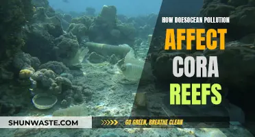 Ocean Pollution's Impact on Coral Reefs: Understanding the Devastation