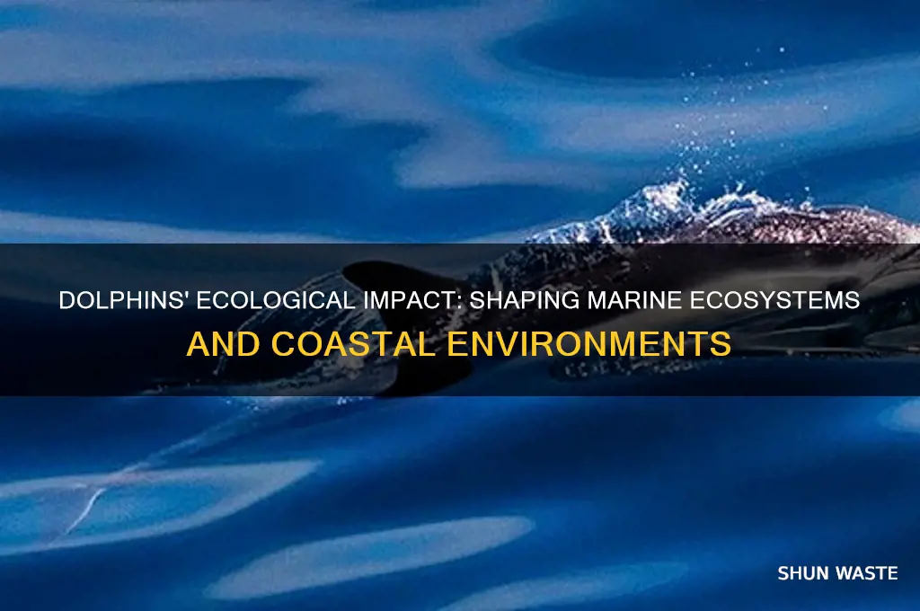 how dolphins affect the environment