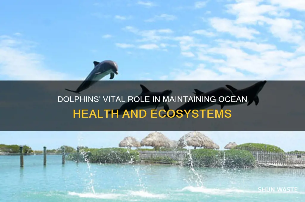 how dolphins help the environment