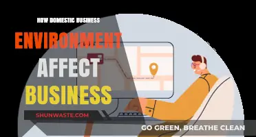 Domestic Business Environment: Shaping Success and Challenges for Companies