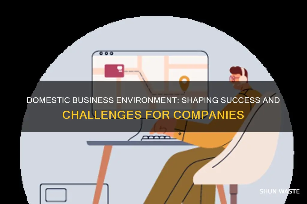 how domestic business environment affect business