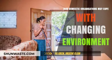 Adapting to Change: Strategies for Domestic Organizations in Dynamic Environments