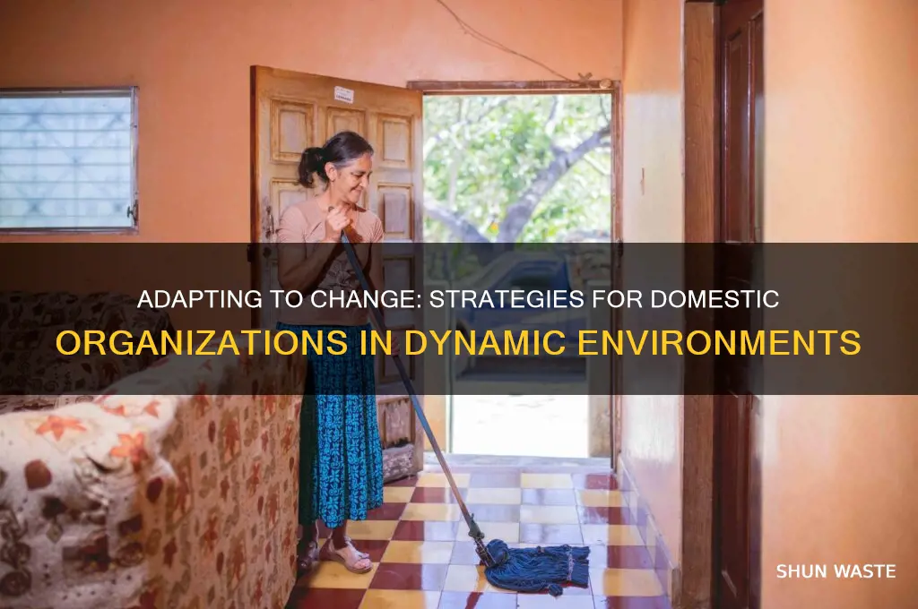 how domestic organisations may cope with changing environment