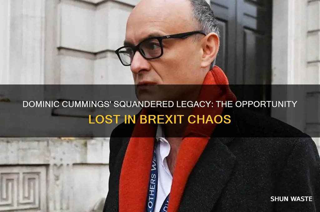 how dominic cummings wasted the greatest opportunity of his life
