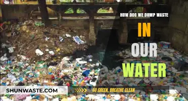 Dumping Waste in Water: Environmental Impact and Sustainable Solutions