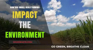 Small-Scale Farming: Environmental Benefits and Sustainable Practices Explored