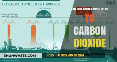 Carbon Waste's Role in Rising Carbon Dioxide Emissions Explained