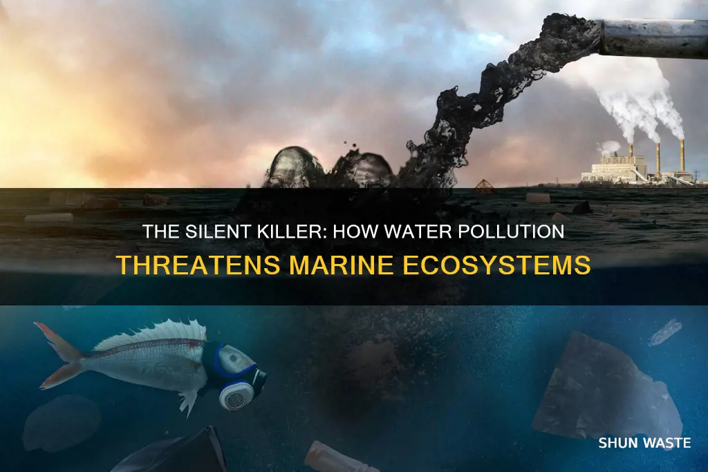 how dose water pollution kill marine life