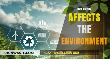 Driving's Environmental Impact: Pollution, Climate Change, and Sustainable Solutions