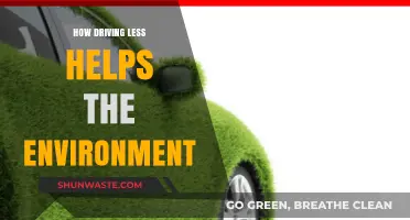 Driving Less: Simple Steps to Reduce Emissions and Protect Our Planet