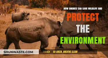 Drones: Revolutionizing Wildlife Conservation and Environmental Protection Efforts