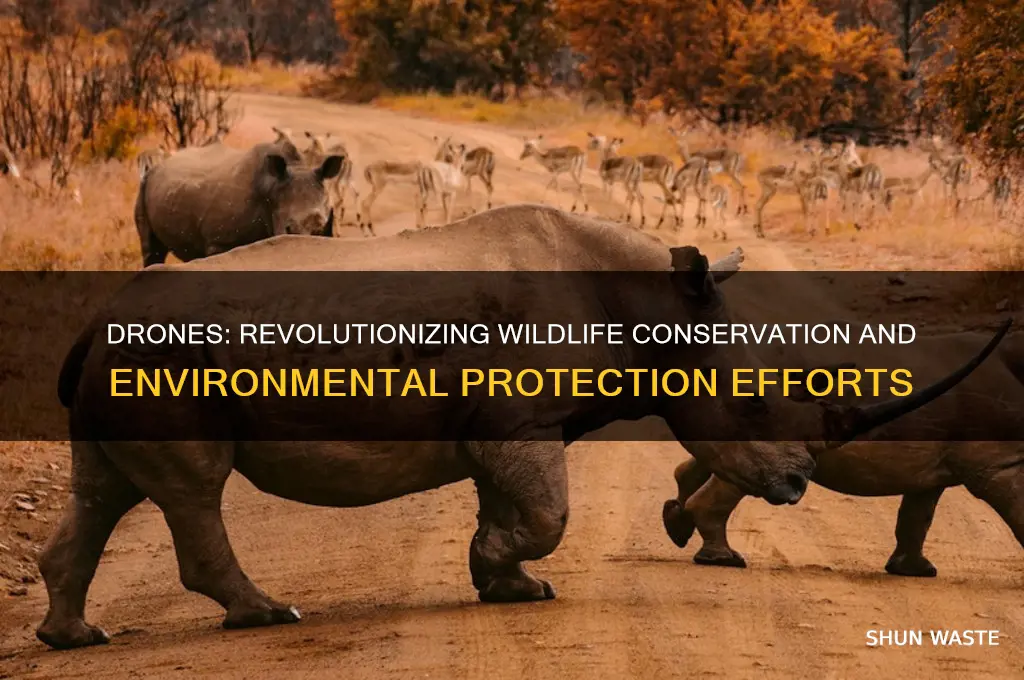 how drones can save wildlife and protect the environment