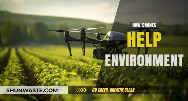 Drones Revolutionize Environmental Conservation: Monitoring, Protection, and Restoration