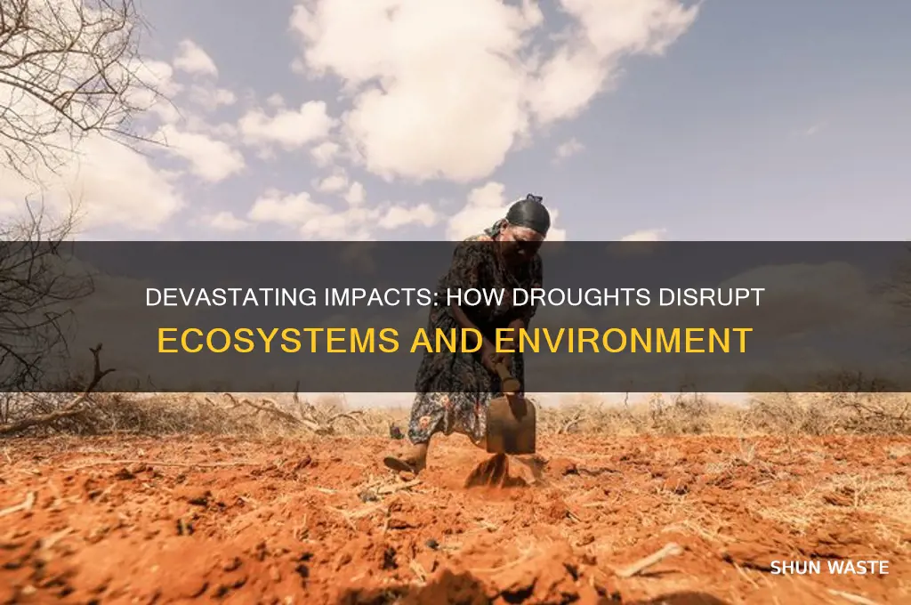 how drought affect environment