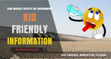 Drought's Impact: How Dry Spells Change Our Environment for Kids