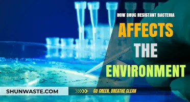 Drug-Resistant Bacteria: Environmental Impact and Ecosystem Disruption Explained