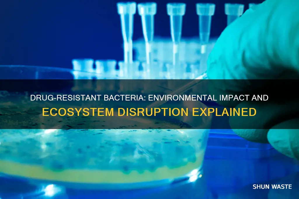 how drug resistant bacteria affects the environment