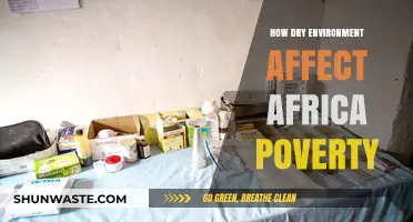 Dry Climates Deepen Africa's Poverty: Causes, Impacts, and Solutions