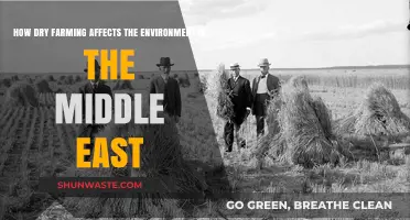 Dry Farming's Environmental Impact on the Middle East's Fragile Ecosystems