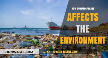 Waste Dumping's Devastating Impact: How It Destroys Our Environment