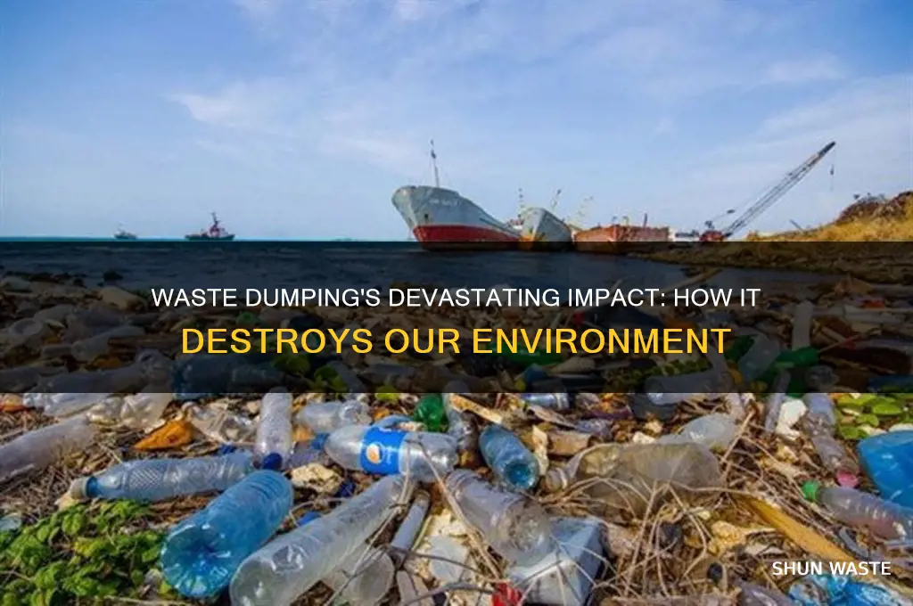 how dumping waste affects the environment