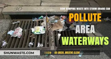 Dumping Waste: A Recipe for Waterway Pollution