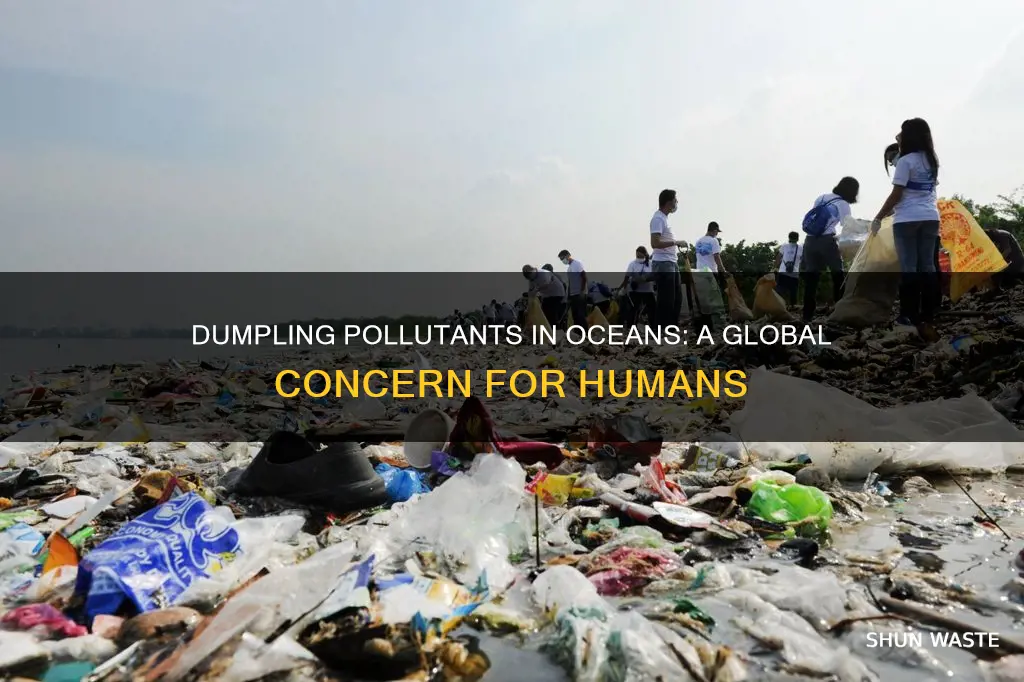 how dumpling pollutants on oceans affects us