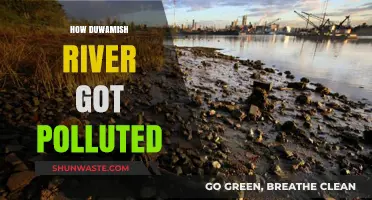 The Troubled History of the Duwamish River