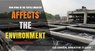 Textile Industry's Dark Secret: Environmental Impact of Dying Processes