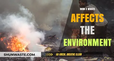 E-Waste's Environmental Impact: Pollution, Health Risks, and Sustainable Solutions