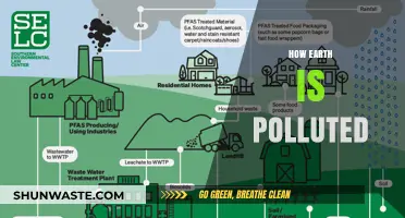 The Earth's Pollution Problem