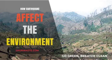 Earthquakes' Environmental Impact: Shaking Ecosystems, Landscapes, and Climate Patterns