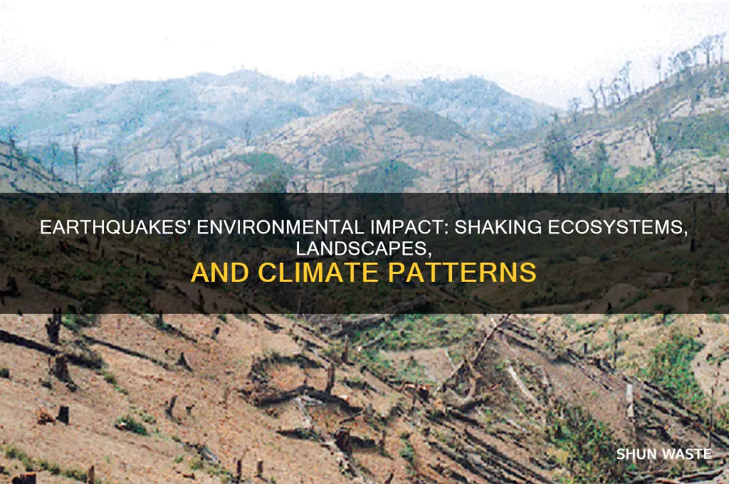 how earthquake affect the environment