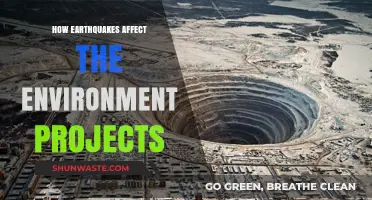 Earthquakes' Environmental Impact: Challenges for Sustainability Projects