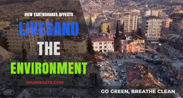 Earthquakes' Impact: Lives, Ecosystems, and Environmental Consequences Explored