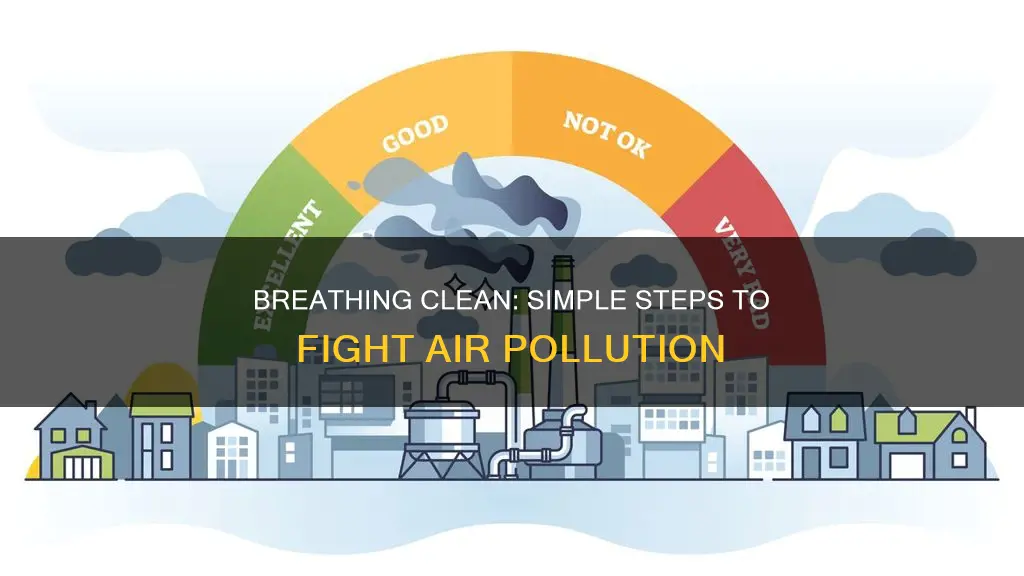 how easily air pollution can be prevented