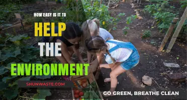 Simple Steps, Big Impact: How Easy It Is to Help the Environment