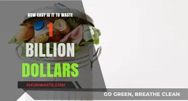 Billion-Dollar Blunders: How Easily Can Massive Wealth Vanish?