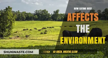 Beef's Environmental Impact: Uncovering the Hidden Costs of Consumption