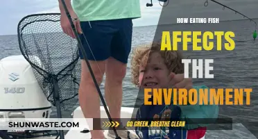 Fishing for Sustainability: The Environmental Impact of Eating Fish