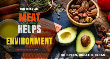 Reducing Meat Intake: A Sustainable Choice for a Greener Planet