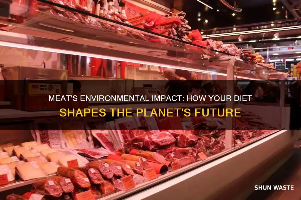 how eating meat affects environment