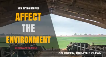 Meat's Environmental Impact: How Non-Veg Diets Affect Our Planet