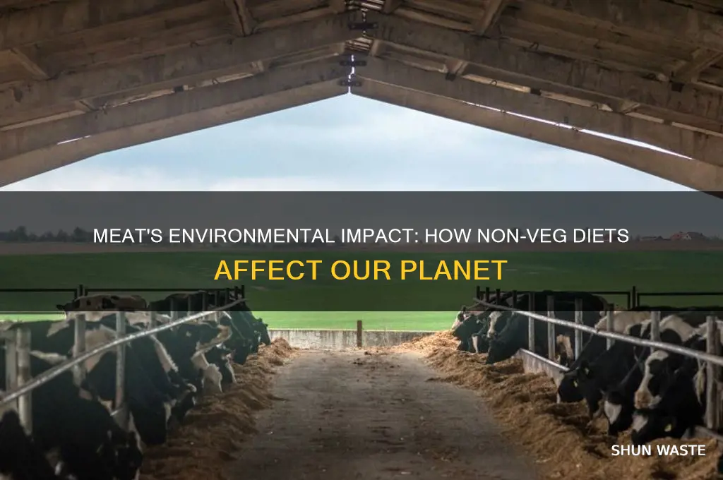 how eating non veg affect the environment