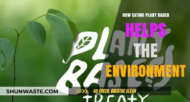 Plant-Based Diets: A Powerful Tool for Environmental Sustainability