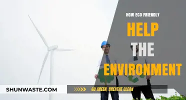 Eco-Friendly Choices: How Small Changes Make a Big Environmental Impact